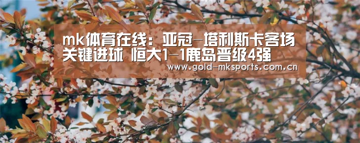 mk体育注册